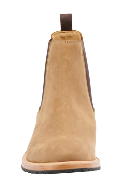 Shop Nisolo Marco Everday Chelsea Boot In Tobacco