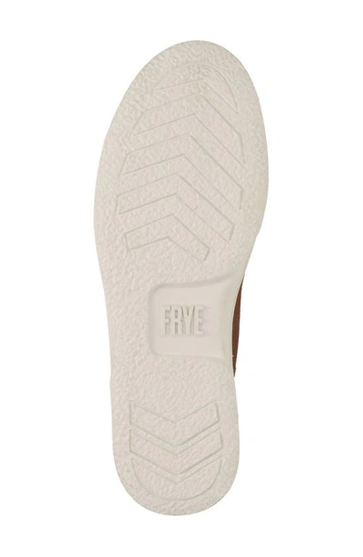 Frye Hoyt Mid Water Resistant Sneaker In Brown Leather