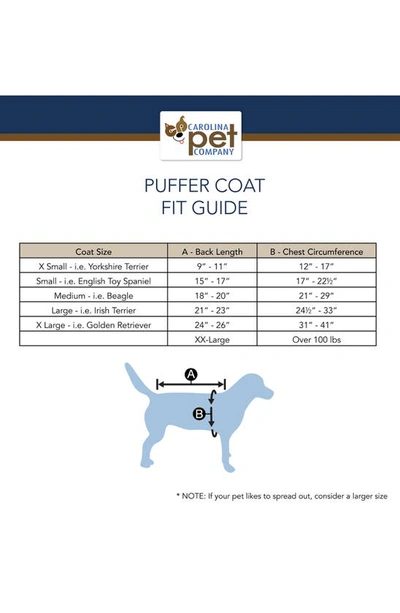 Shop Pendleton Puffer Dog Coat In Teal