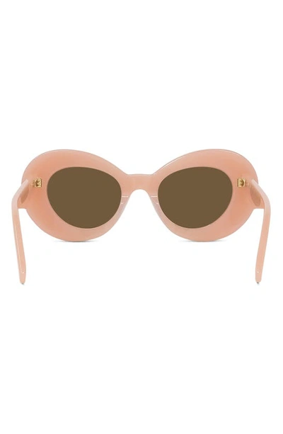 Shop Loewe Curvy 47mm Small Butterfly Sunglasses In Shiny Pink / Brown