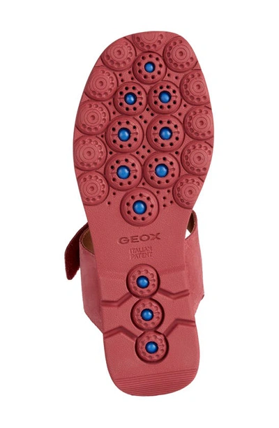 Shop Geox Spherica Wedge Sandal In Cyclamen
