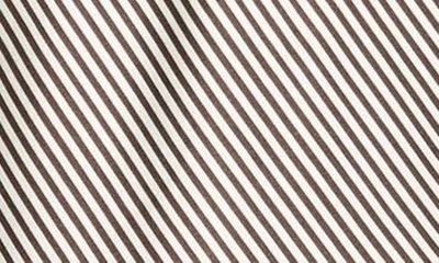 Frame Stripe V-neck Silk Camisole In Espresso Multi