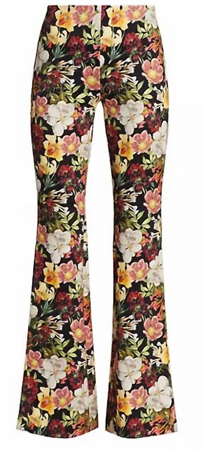 Shop Alice And Olivia Brynlee Bootcut Pant In Juniper Floral In Multi