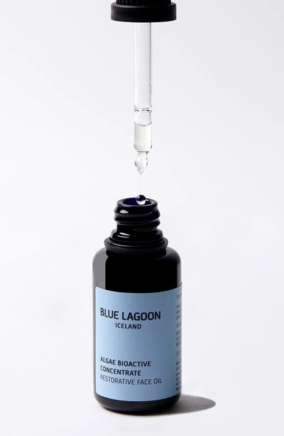 Shop Blue Lagoon Iceland Algae Bioactive Concentrate Restorative Face Oil, 1 oz