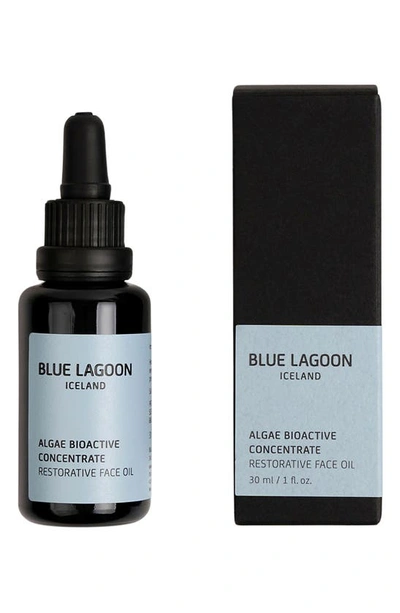 Shop Blue Lagoon Iceland Algae Bioactive Concentrate Restorative Face Oil, 1 oz