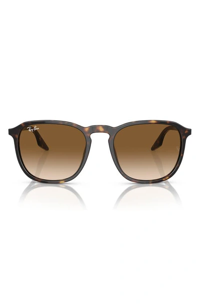 Shop Ray Ban 52mm Square Sunglasses In Havana