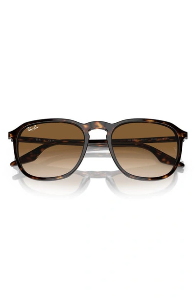 Shop Ray Ban 52mm Square Sunglasses In Havana