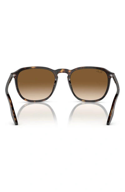 Shop Ray Ban 52mm Square Sunglasses In Havana