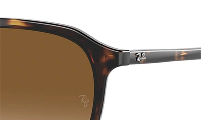 Shop Ray Ban 52mm Square Sunglasses In Havana