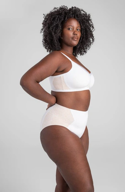 Honeylove High Waist Lace Briefs In Astral