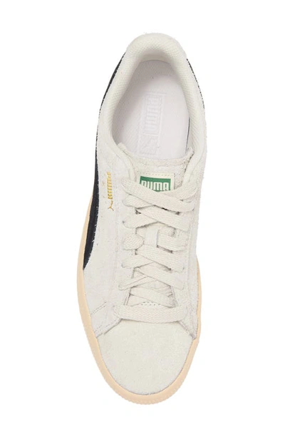 Shop Puma Clyde Hairy Basketball Sneaker In Sedate Gray-cashew