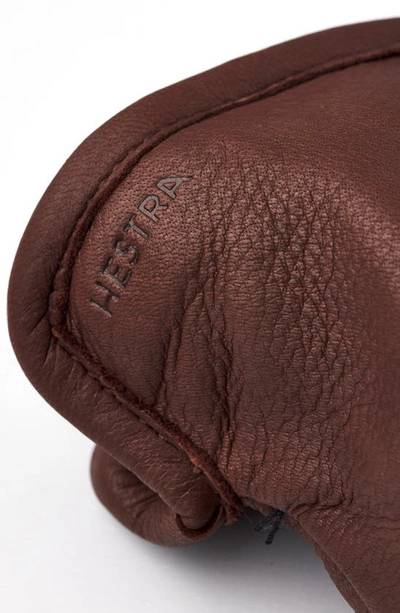 Shop Hestra Andrew Leather Gloves In Chocolate