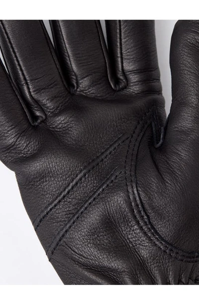 Shop Hestra Andrew Leather Gloves In Black