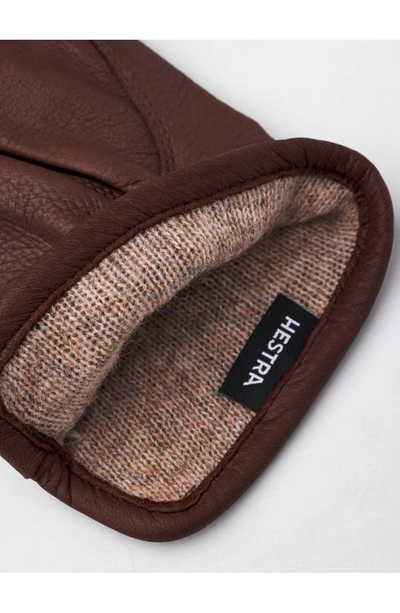 Hestra Andrew Leather Gloves In Chocolate