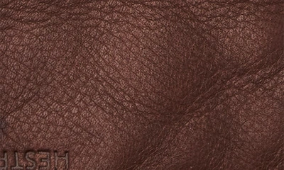 Shop Hestra Andrew Leather Gloves In Chocolate