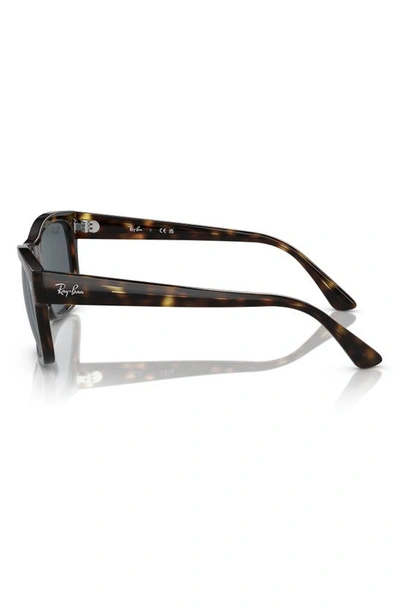 Ray Ban 56mm Rectangular Sunglasses In Havana