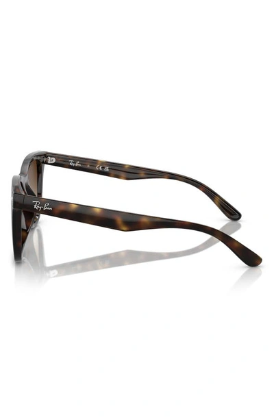 Ray Ban 65mm Gradient Oversize Square Sunglasses In Havana