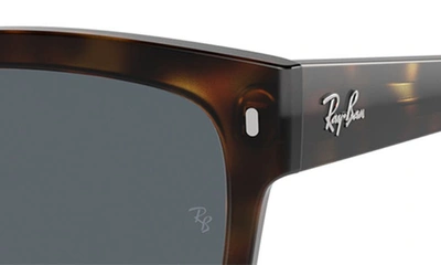 Ray Ban 56mm Rectangular Sunglasses In Havana