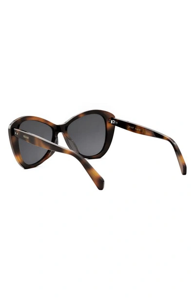 Shop Celine Butterfly 55mm Sunglasses In Blonde Havana / Smoke