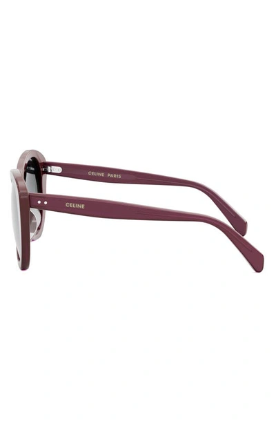Shop Celine Butterfly 55mm Sunglasses In Shiny Bordeaux / Smoke