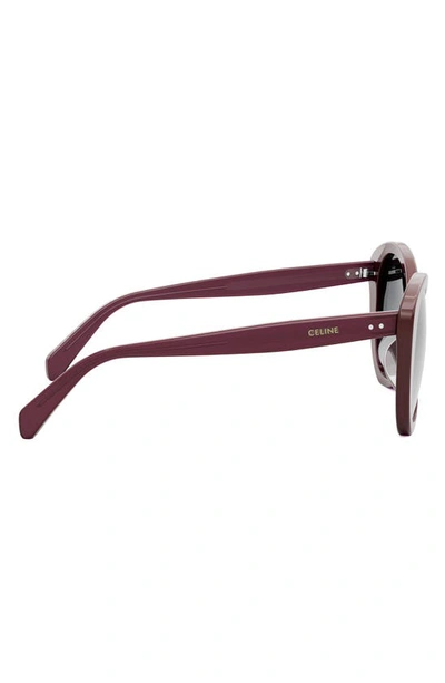 Shop Celine Butterfly 55mm Sunglasses In Shiny Bordeaux / Smoke