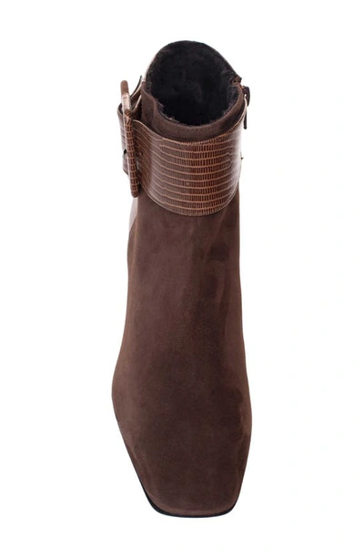 Shop Ron White Lana Weatherproof Buckle Bootie In Chocolate