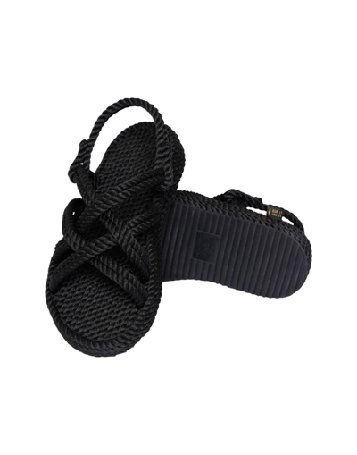 Shop Bohonomad Sandal Shoes In Black