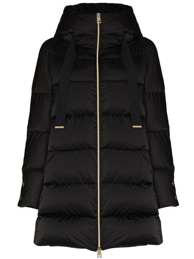 Shop Herno Hooded Padded Coat In Black