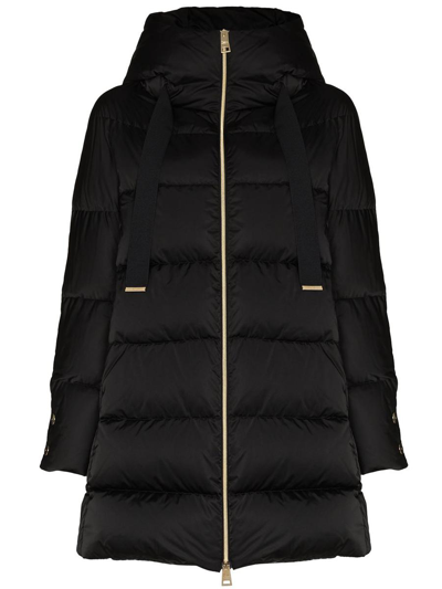 Herno Hooded Down Coat In Black