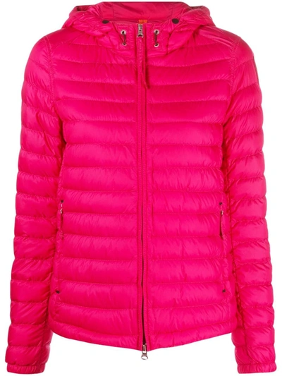 Shop Parajumpers Suiren Clothing In Pink & Purple