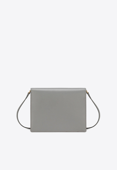 Dolce & Gabbana Dg Logo Calf Leather Crossbody Bag In Gray