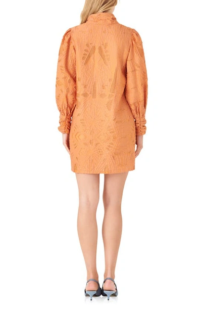 Shop English Factory Long Sleeve Burnout Organza Mini Shirtdress In Orange