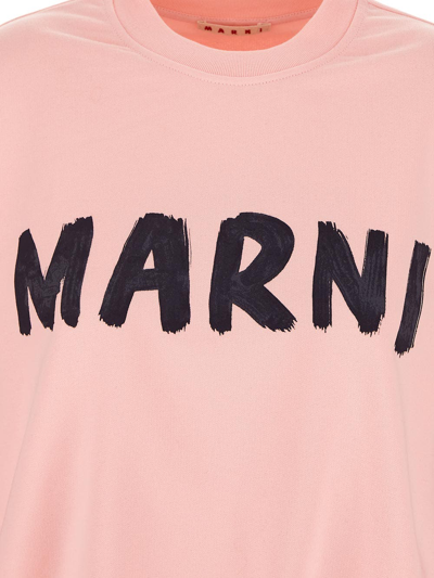 Shop Marni Cotton Logo Sweatshirt In Pink