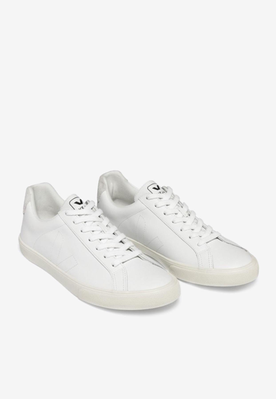 Veja White Leather Sneakers With Embroidered Logo In White