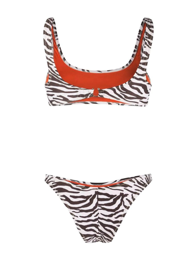 Shop Reina Olga Swimwear In Brown Zebra