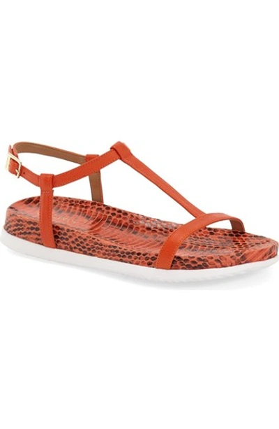 Calvin Klein 'doma' T-strap Sandal (women) In Orange