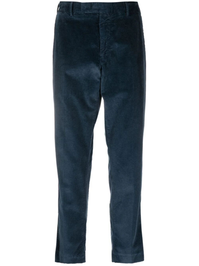 Shop Pt01 Rebel Stretch Velvet Trousers In Blue