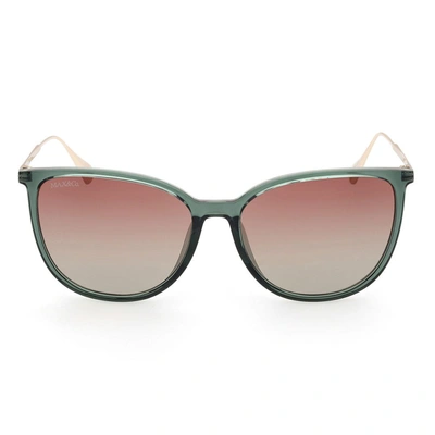 Shop Max & Co Max&co Sunglasses In Green