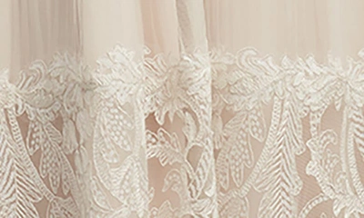 Shop Tadashi Shoji Tiered Lace Cocktail Midi Dress In Ivory/ Petal