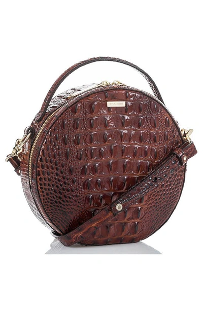 Shop Brahmin Lane Circle Crossbody Bag In Pecan