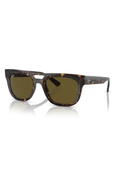 Shop Ray Ban Phil 54mm Square Sunglasses In Havana