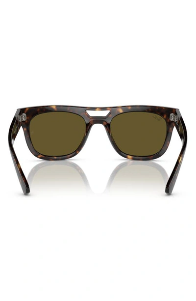 Shop Ray Ban Phil 54mm Square Sunglasses In Havana