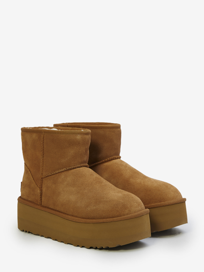 Shop Ugg Classic Mini Platform In Brown