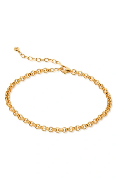 Monica Vinader Round Link Chain Bracelet In Gold Vermeil