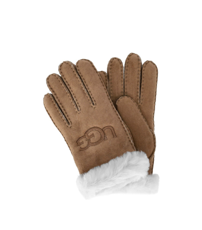Shop Ugg Sheepskin Embroider Chestnut Gloves In Brown