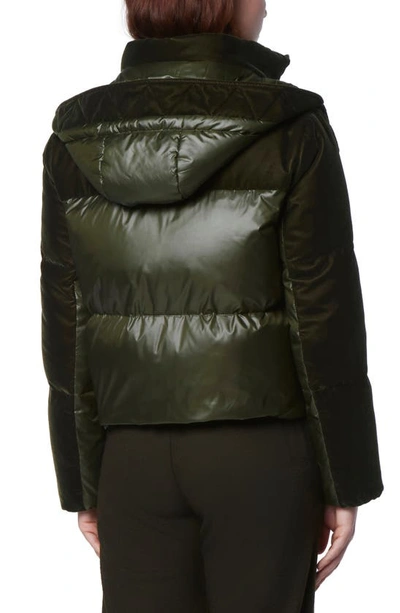 Shop Andrew Marc Hooded Quilted Down Puffer Jacket In Forest