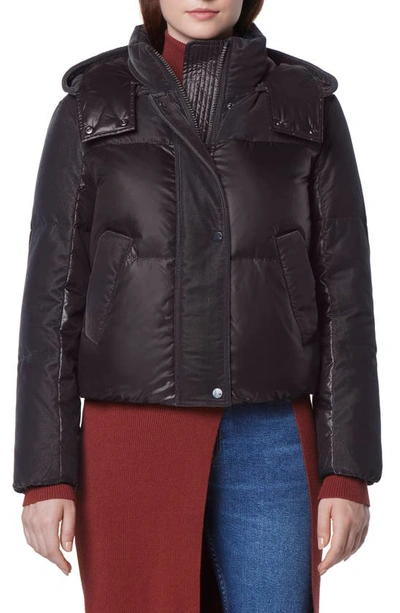 Andrew marc hotsell short down jacket