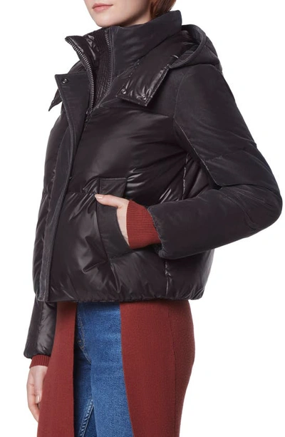 Shop Andrew Marc Hooded Quilted Down Puffer Jacket In Pavement