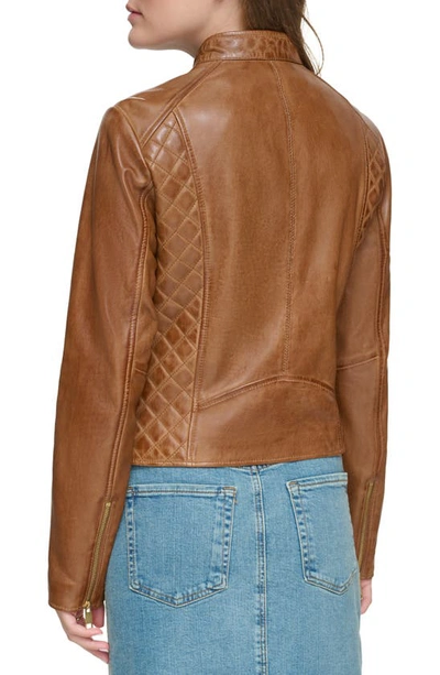 Shop Andrew Marc Quilted Panel Leather Jacket In Cognac