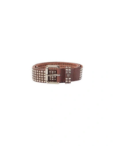 Shop Htc Los Angeles Belt In Brown